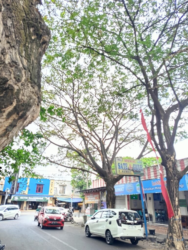 Warga Tulungagung Diimbau Waspada, Dahan Lapuk di Jalan MH. Thamrin Mengancam&nbsp;Keselamatan